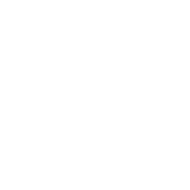 shape167